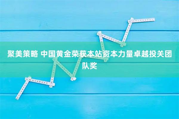 聚美策略 中国黄金荣获本站资本力量卓越投关团队奖