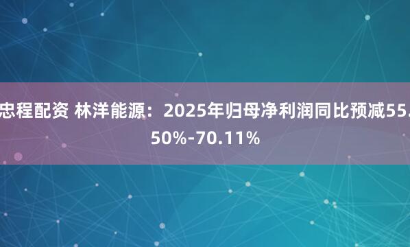 忠程配资 林洋能源：2025年归母净利润同比预减55.50%-70.11%